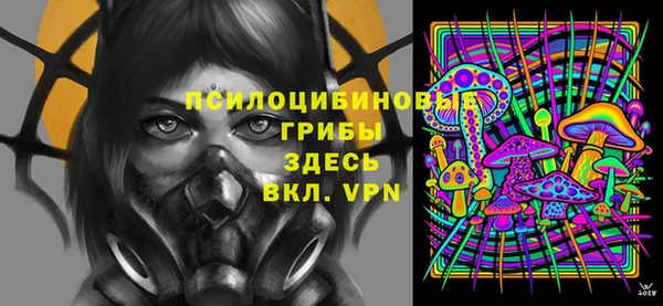 2c-b Осташков
